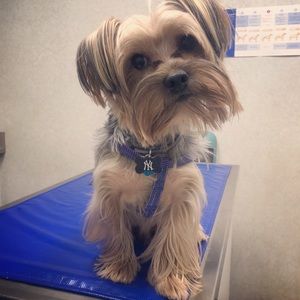 Meet your Posher, Kevin